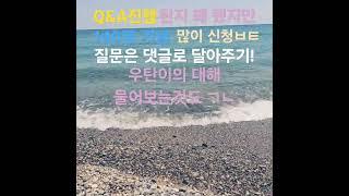 Q&A)영덕