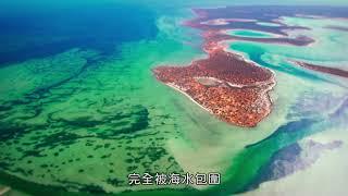 Magellan TV【狂野之地：澳洲】 現正熱播中