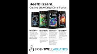 Brightwell ReefBlizzard Foods