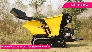 BY600W  ant mini dumper