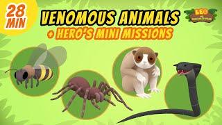 Venomous Animals - Junior Rangers and Hero's Animals Adventure | Leo the Wildlife Ranger