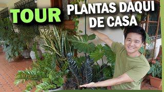 TOUR pelas plantas que tenho em CASA - E mais SOBRE MIM.