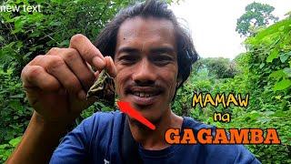 MAMAW NA GAGAMBA ANG  AKING NAKITA