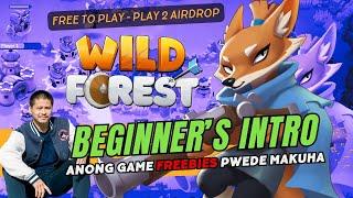 WILD FOREST - Game Freebies (Beginner Guide)