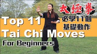 Tai Chi Movements For Beginners| 11個太極拳必學動作