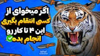 اگر میخوای از کسی انتقام بگیری این 4 تا کار رو انجام بده