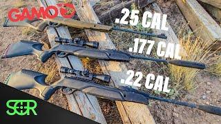 .177 VS .22 VS .25 - GAMO POWER TEST!