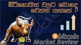 What will happen to Bitcoin | Bitcoin future | Latest update Bitcoin 2021/03/16