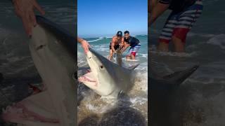 CATCHING A GIANT SHARK 