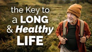 Healthy Longevity: A Geriatrician's Perspective