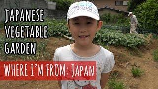 A Visit to a Japanese Vegetable Garden