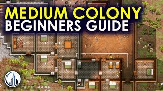 This Is A Successful Medium-Sized Colony | RimWorld Ultimate Beginners Guide For 2024