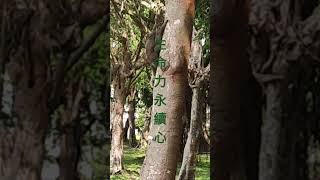 2025年5月15日