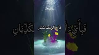 How to most beautiful Tilawat Quran Surah Rahman with Urdu translation#quranrecitation#Islamicchanel