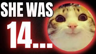 Youtube's Famous Hidden Predator | The All Rounder