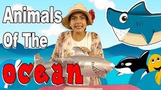 Animals Of The Ocean | Language Learners