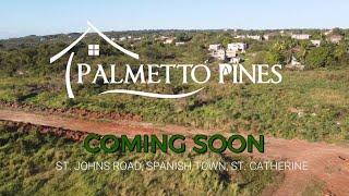 Upcoming 2024 | Palmetto Pines Gated Land Development | Palmetto Pines Spanish Town | Claudia Davis