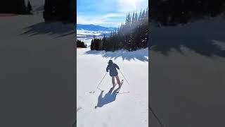 Carving cool ski