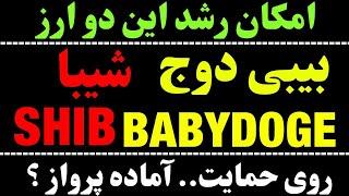 تحلیل شیبا | تحلیل بیبی دوج | ارز SHIB در کف کانال | ارز BABYDOGE روی حمایت هفتگی