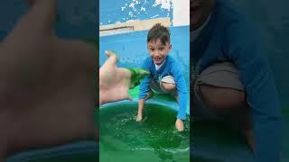 NOS METIMOS EN LA PISCINA DE SLIME ya publique el video completo