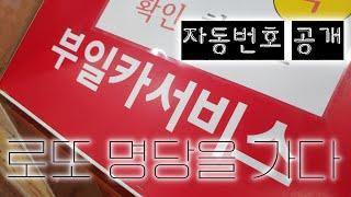 로또 909회 부일카서비스 자동 번호 공유 (일등돼지 로또 명당을 가다)