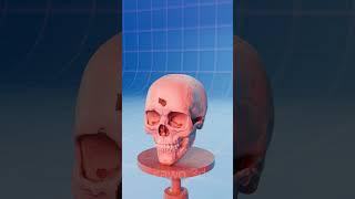 What Happens When You Shoot 10 Skulls with a .50 Cal?