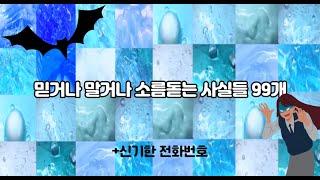 믿거나 말거나 소름돋는 사실들 99개+전화로 무서운 이야기 듣는법/시리즈 액괴/액괴/소름돋는/이무이 액괴/알고리즘 추천/사실 액괴/대규모 시리즈/대규모 액괴/리엘