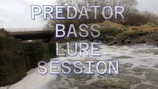Predator Bass Lure Fishing In Winter