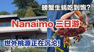 我们回来啦！ 温哥华岛Nanaimo游玩｜民宿地下室也能看海景|岛上homeless 问题也这么严重？