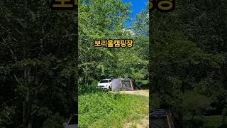 1박에 만원 예약없이 가는 자연친화적인 보리울캠핑장