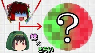 【ゆっくり茶番劇】霊夢と魔理沙の子供！？それとも合体！？ 二人のそっくりなゆっくりキャラ登場!!part14【とらいあんぐる】