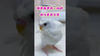 ご報告お迎え
