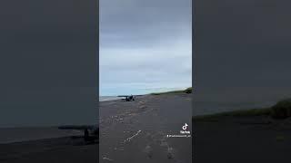 Beach combing on the Bering Sea Coastline, Alaska