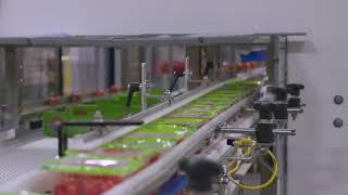 Tray Loading of Plastic Tubs of Tomatoes | JLS Automation