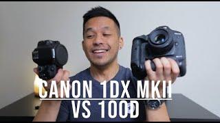 £5000 Camera vs £200 Camera (1DX Mark II vs 100D)