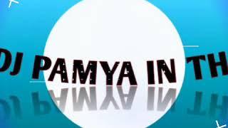 DJ pamya in the mix part 2 from all DJ in the mix