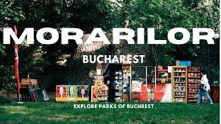 Bucharest's Secret Park: An Adventure in Morarilor