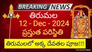 tirumala 12 December 2024 present situation sarva darshan | special pooja in tirumala ttd updates