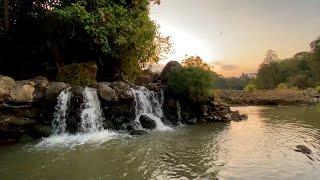 Beautiful Golden Sunset in the Mountain | Soothing Water Sounds | Calming Waterfall Forest Ambience