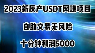 2023最新灰产|网赚 项目|网络赚钱 项目|五分钟了解最新网站项目（真实网站演示教学）