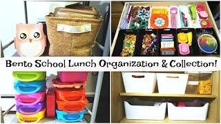 Bento Lunch Accessories & Organizaton