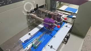Сервоприводная горизонтальная упаковочная машина 450SX