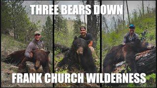 Spring Bear Hunt | Frank Church Wilderness | 3 BEARS DOWN