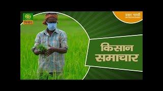 Watch latest news coverage on DD Kisan's daily news bulletin 'Kisan Samachar' |Nov. 05, 2024