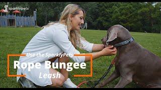 SparkyPets Heavy Duty Rope Bungee Leash for Large and Medium Dogs