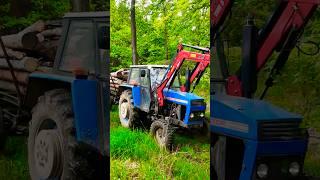 ZETOR Crystal 8011 in the forest #realsound