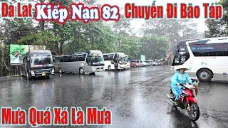 Đà Lạt Kiếp Nạn 82 Chuyến Đi Bão Táp Lên Đà Lạt Ngủ Là Nhất