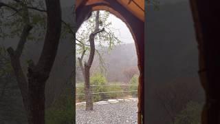 여자 혼자 #우중캠핑 2박3일 마지막날! #솔캠 #혼캠 조용하게 자연에서 #혼자놀기 너무 좋다요! ASMR 소리 켜고 보세요!