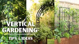 VERTICAL GARDENING TIPS & IDEAS: Why and how to add VERTICAL SPACE to your garden in ANY SPACE