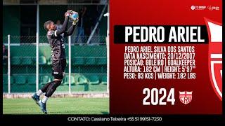 Pedro Ariel [2007] - Goalkeeper